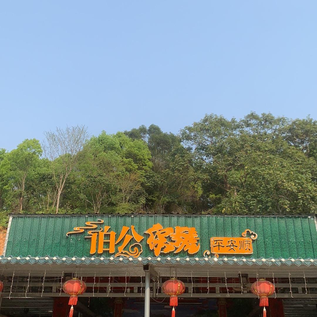 龙