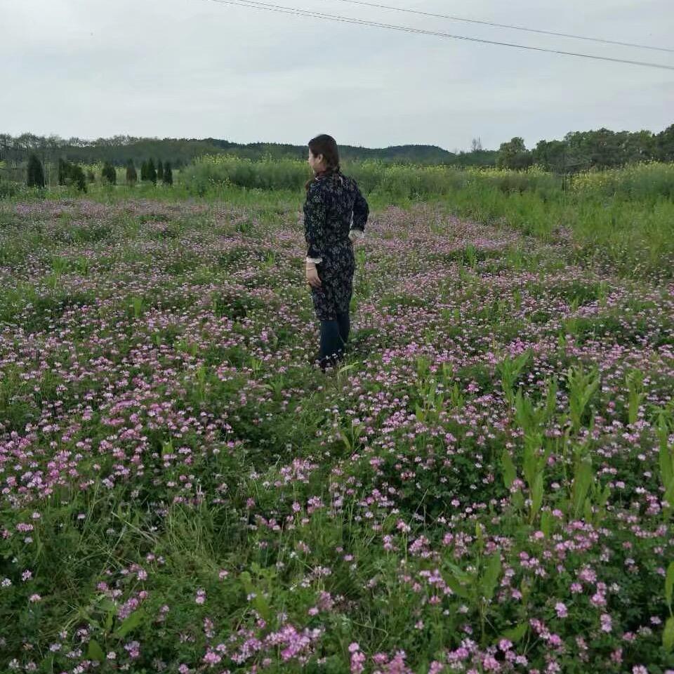 @怡怡怡