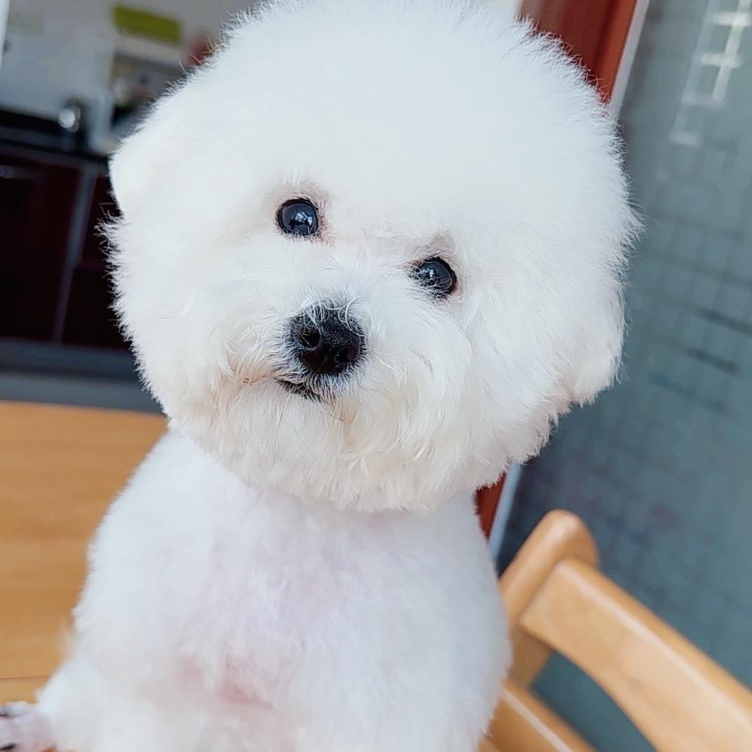 老笨笨