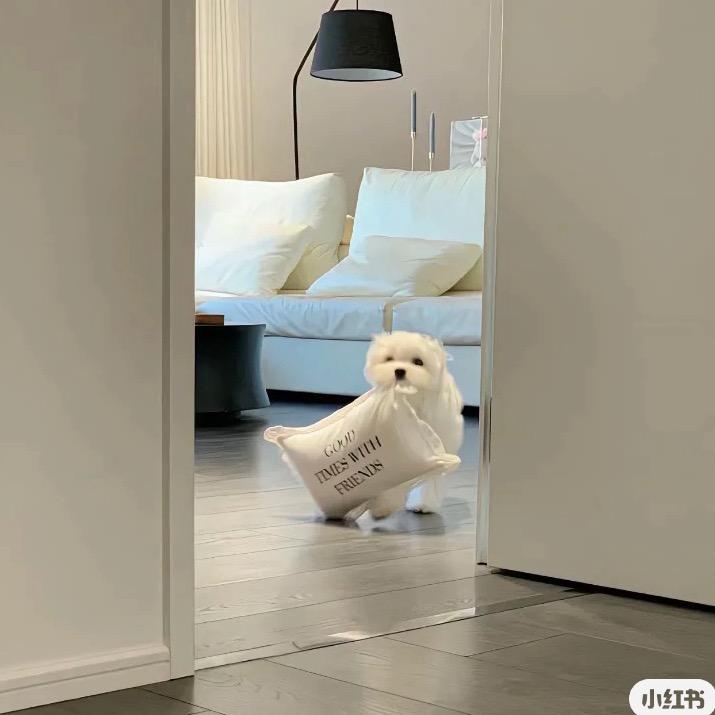 小羊咩咩Z☡zᶻ