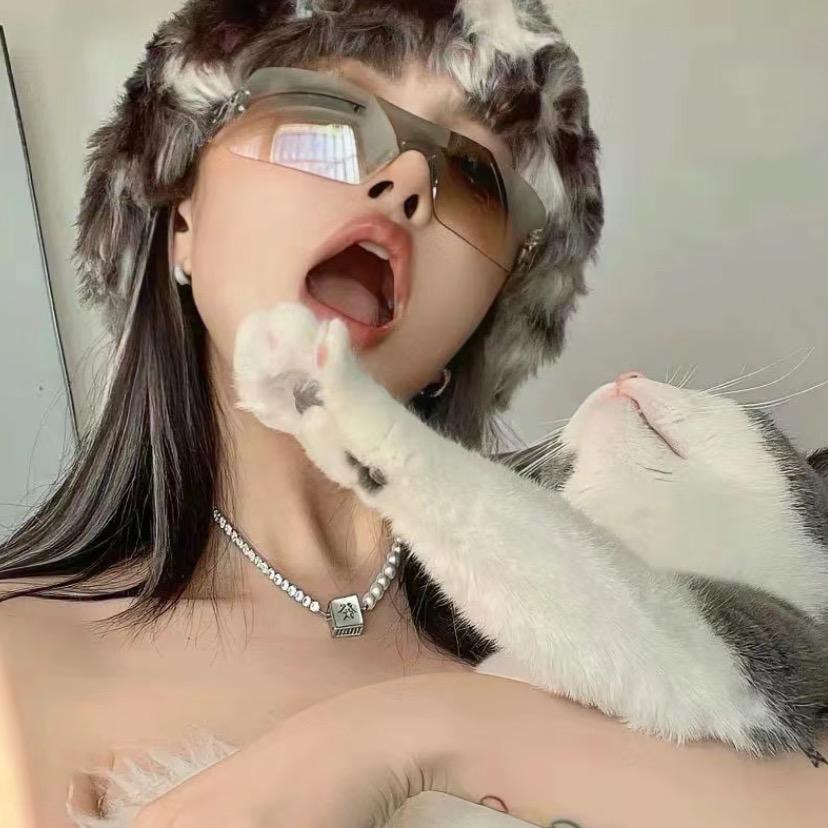 小十三狸