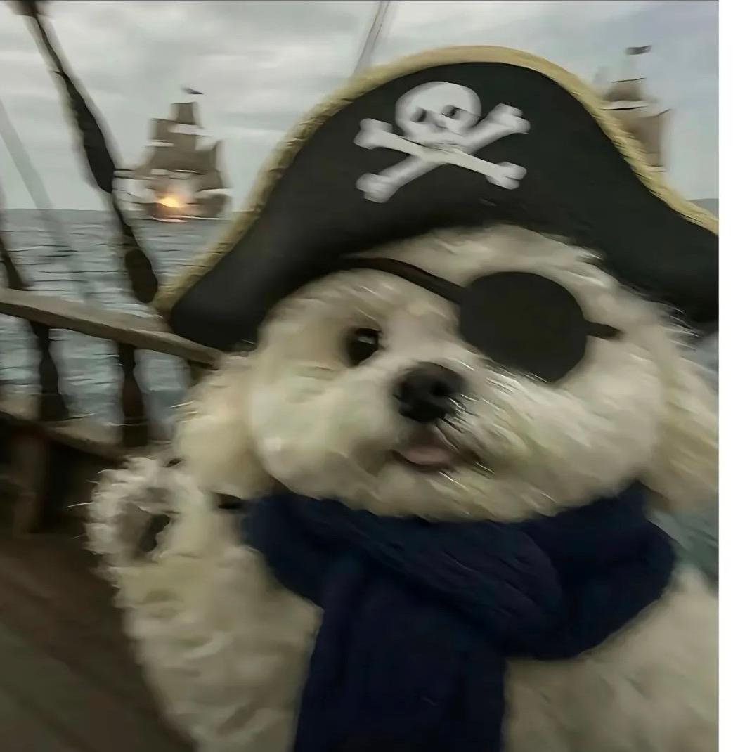 风行