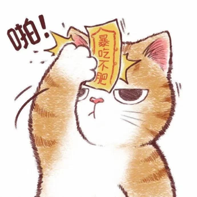 馋馋猫爱吃🍗