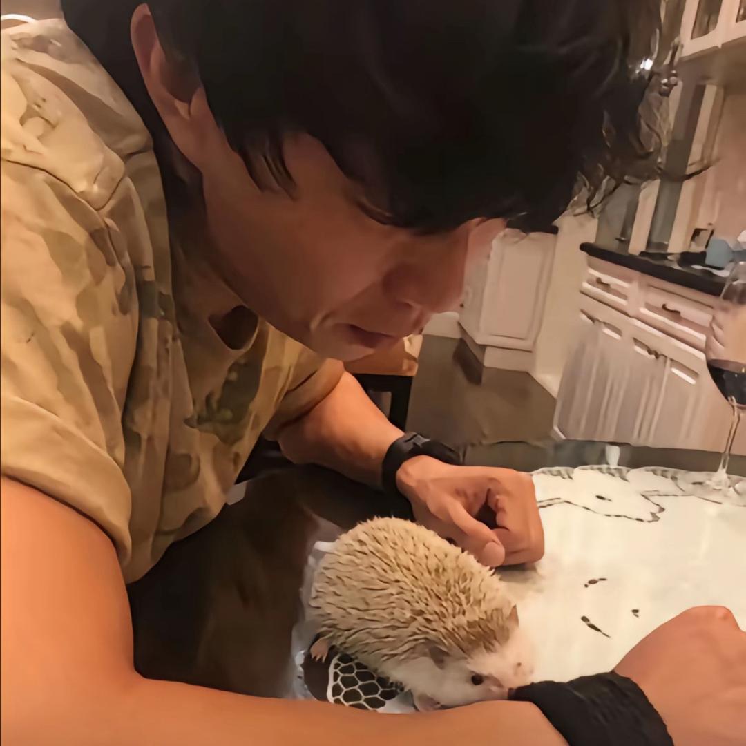 诉苦情