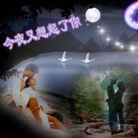 伱要的我给不起