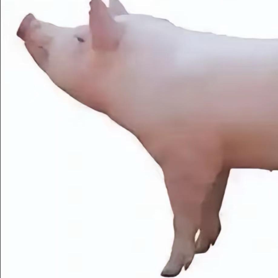 惡貫滿盈