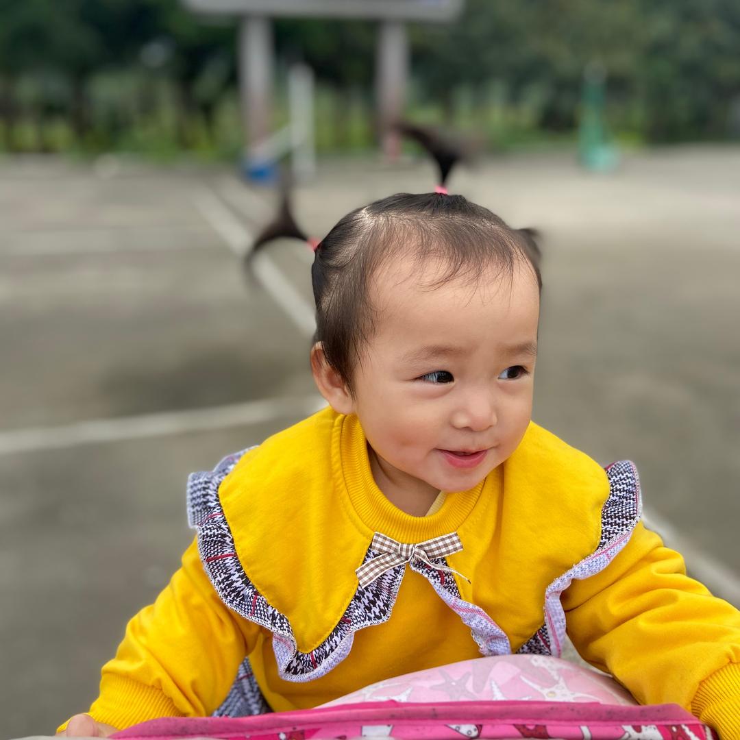 小蘑菇