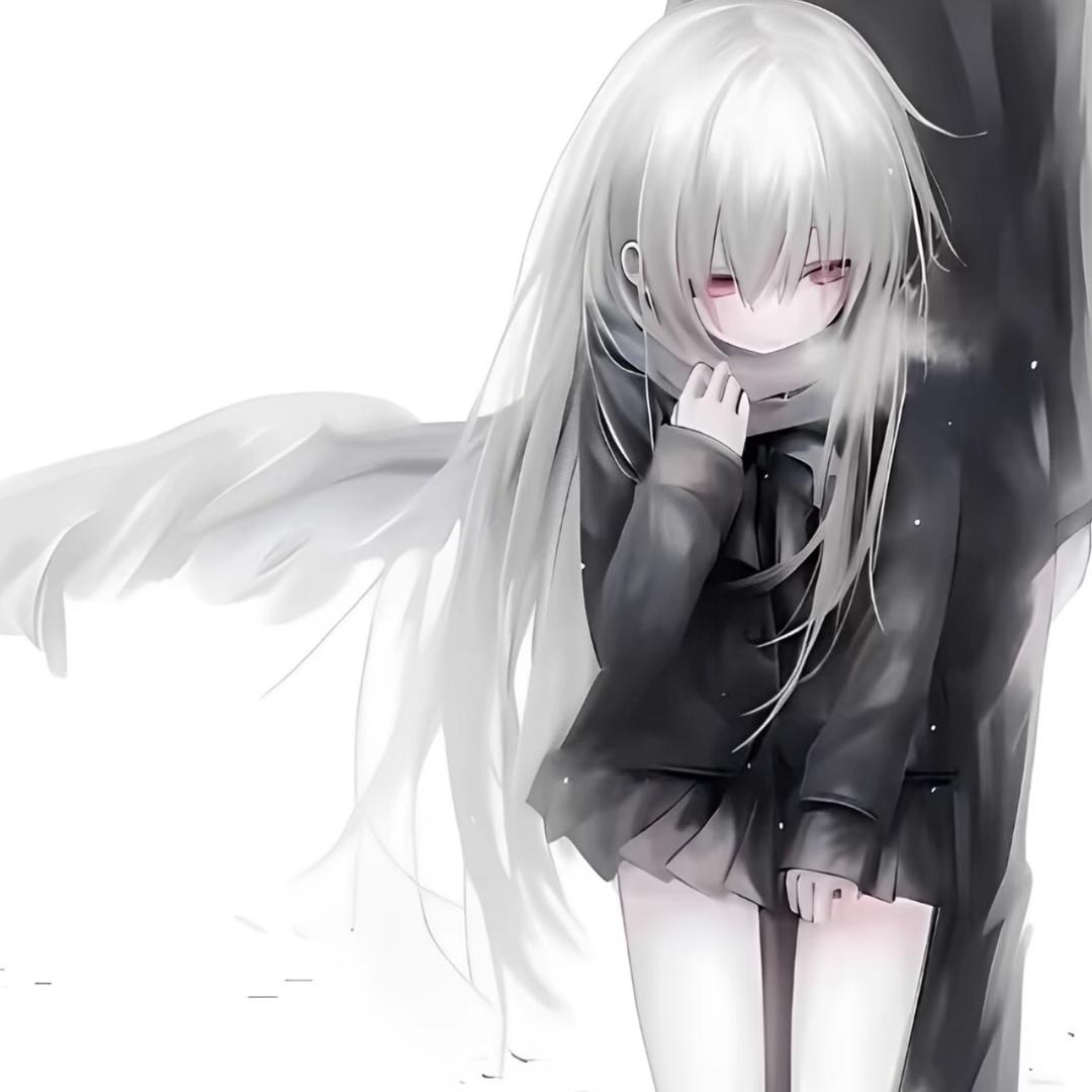 小w55.