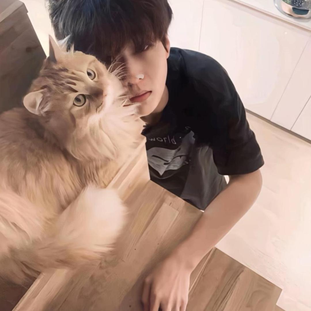 ㅤㅤㅤㅤㅤ    忘忧