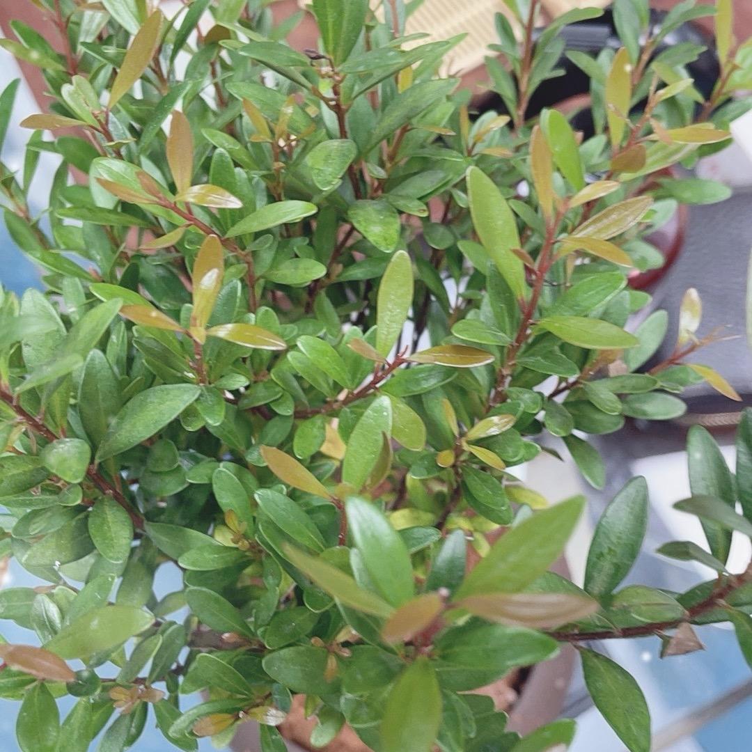 618节后专场