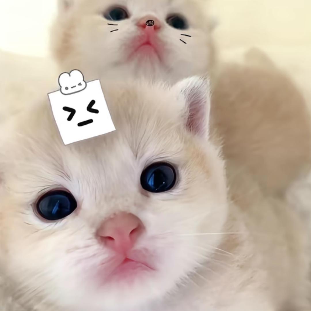 hellooo