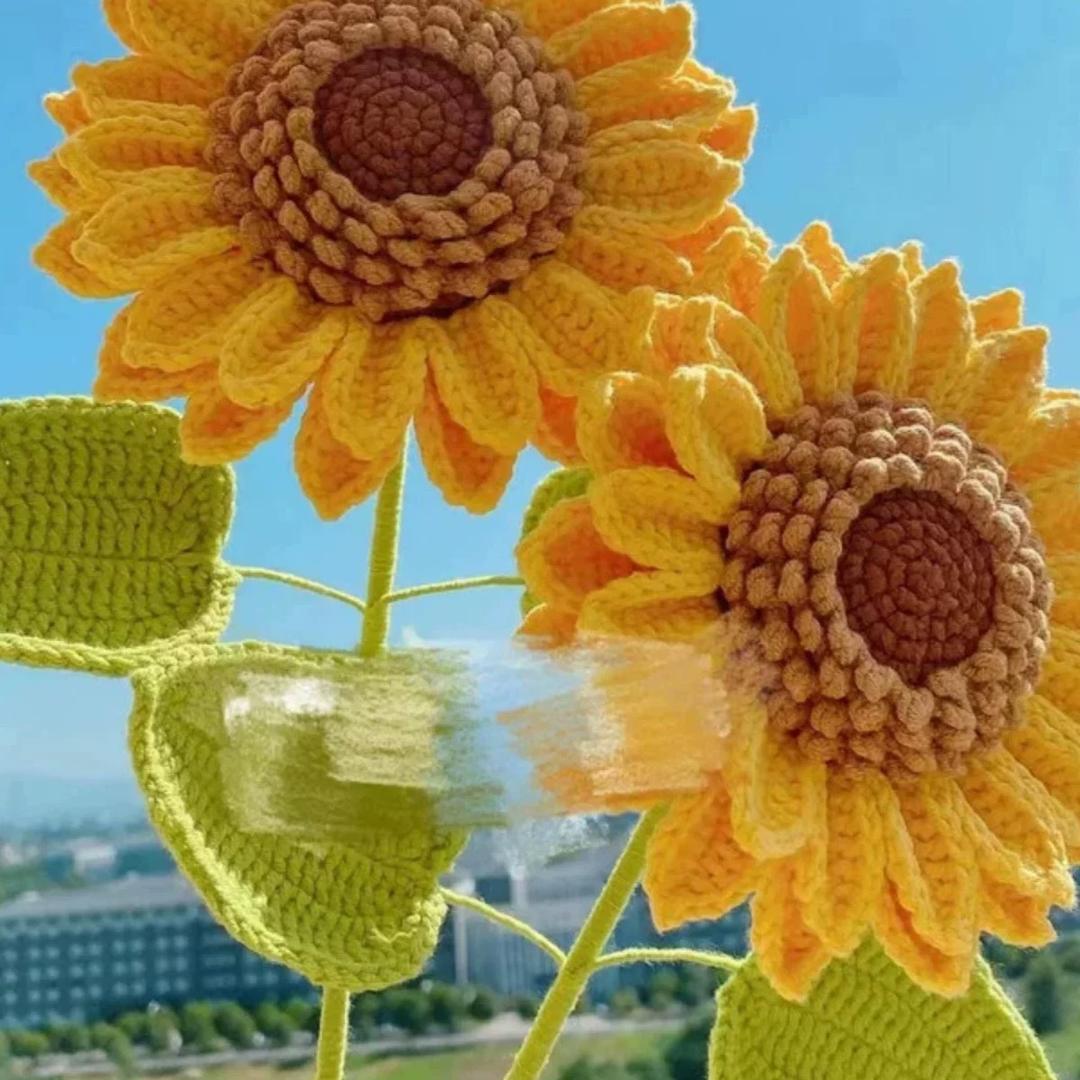 ღ᭄一米阳光☀️