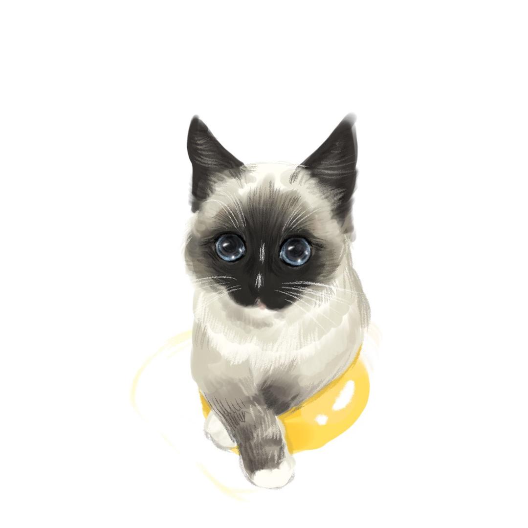 吃瓜🐰 ⌘