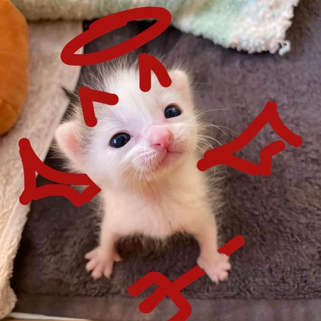 安