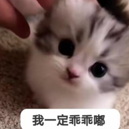 小觉
