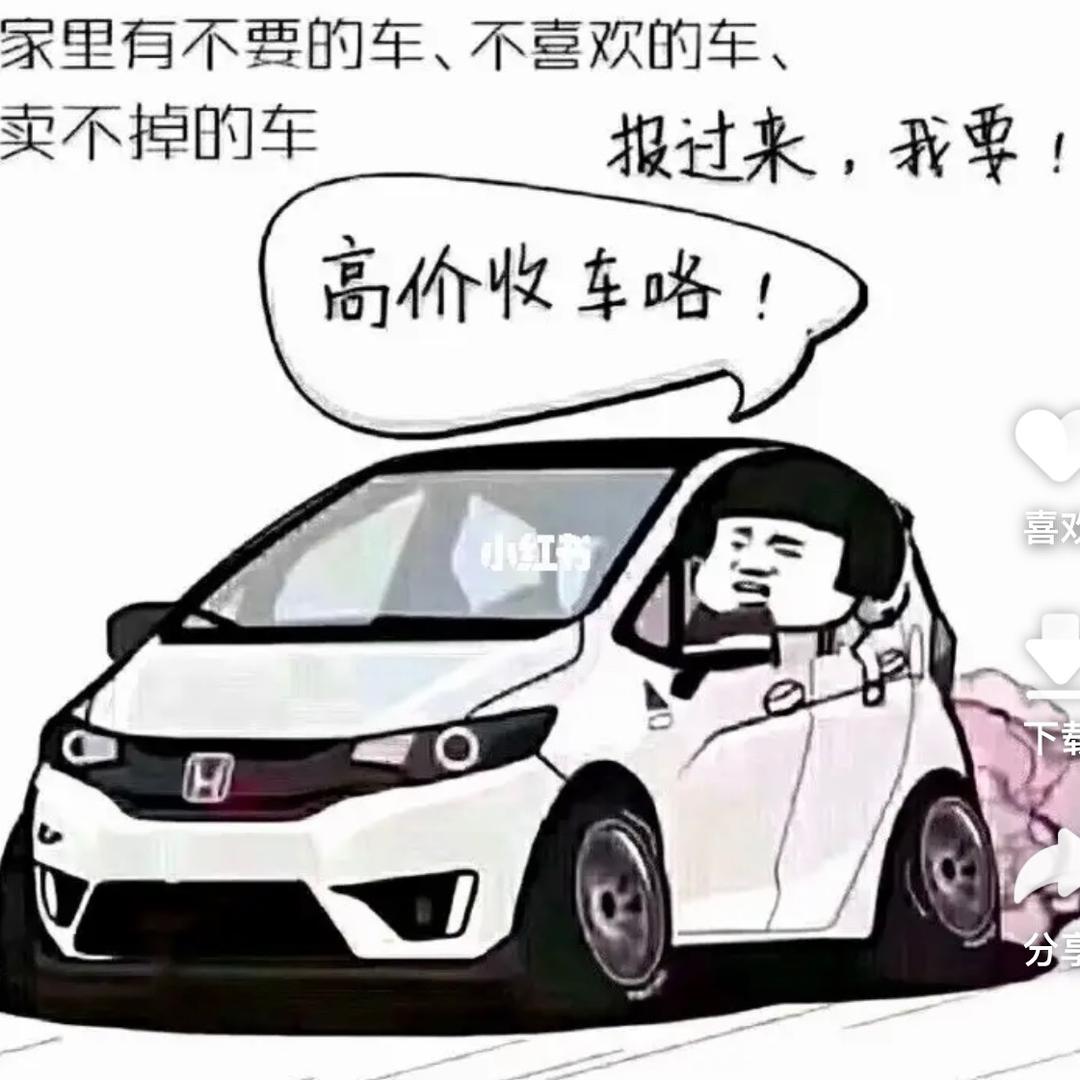 瑞哥淘车