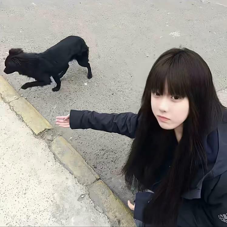 毛毛💕