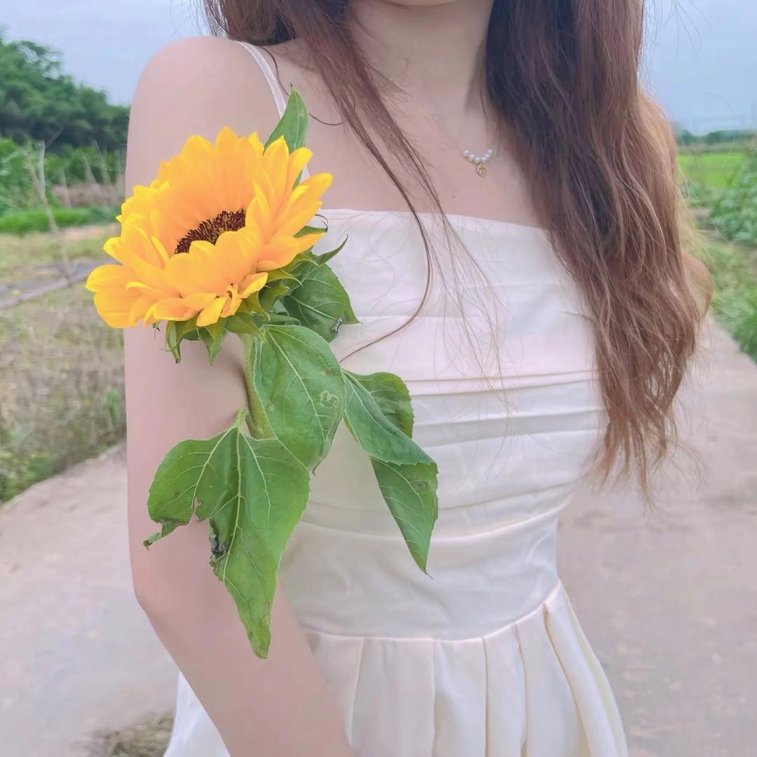 你甜个屁🌈🌈