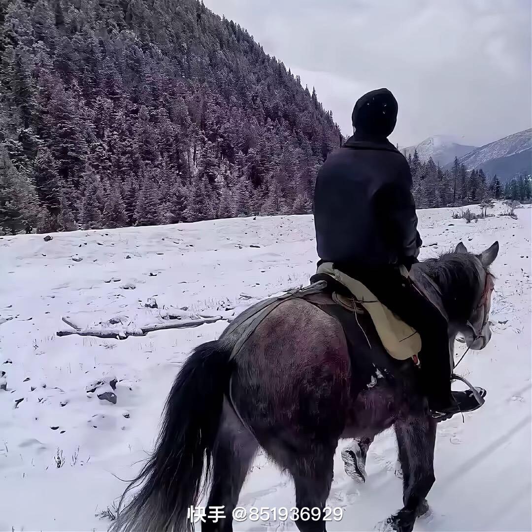 💲多杰