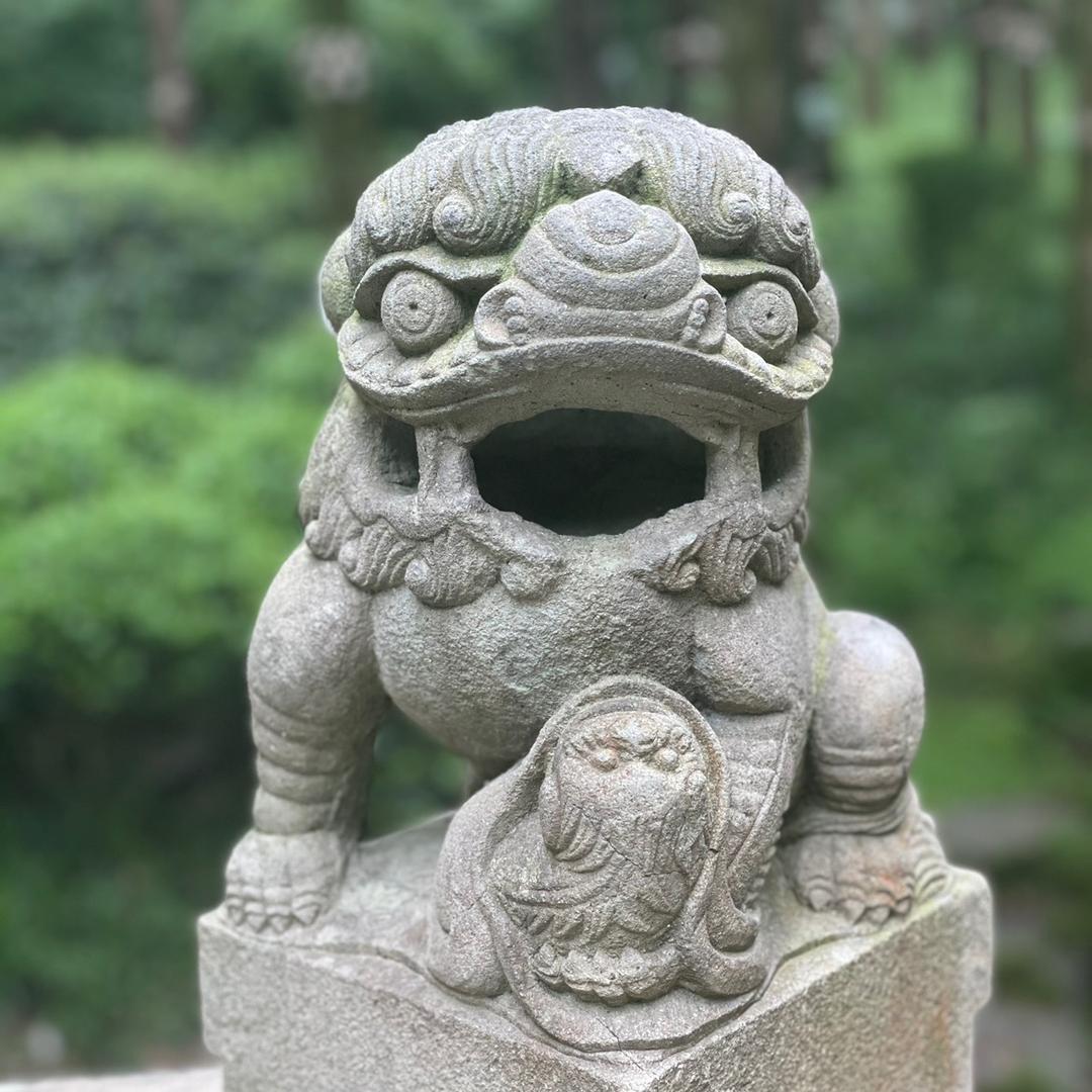 独闇（棫朴设计）