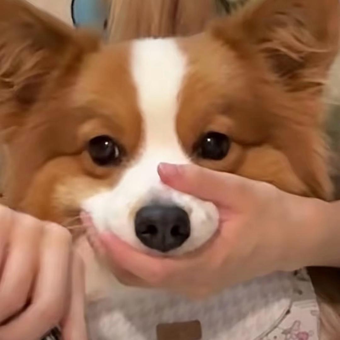 八戒的朋友圈