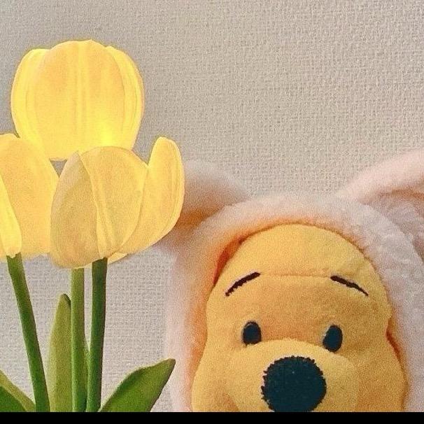 小夏同学🙋‍♀️