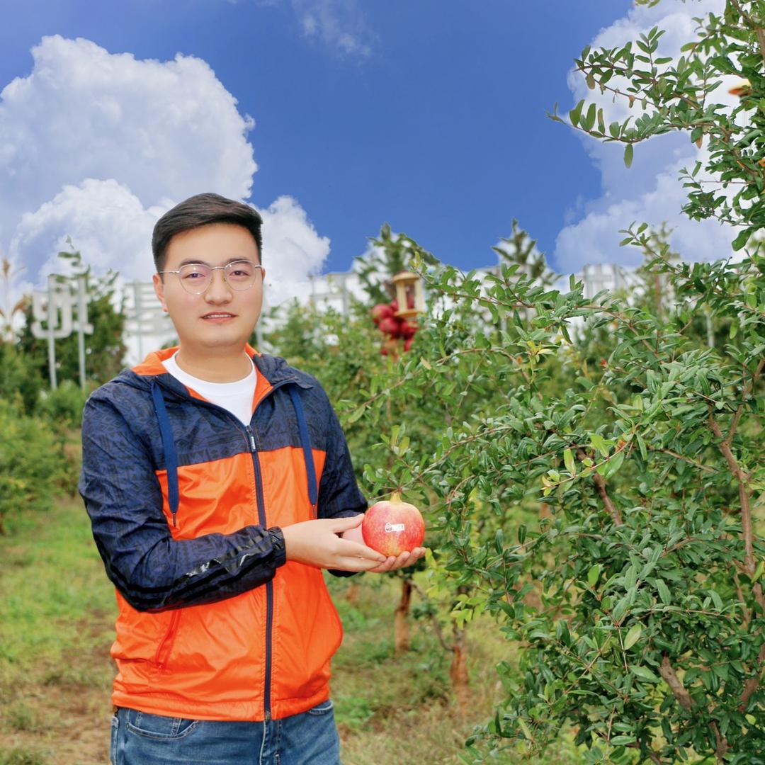 潼关石榴精选店