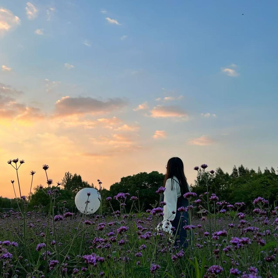 ✪葡萄不加冰°