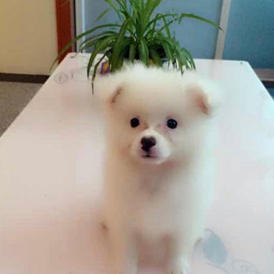 自我心中