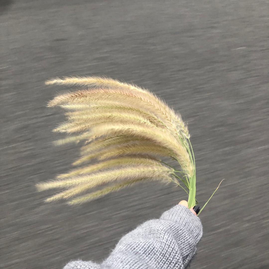 。.