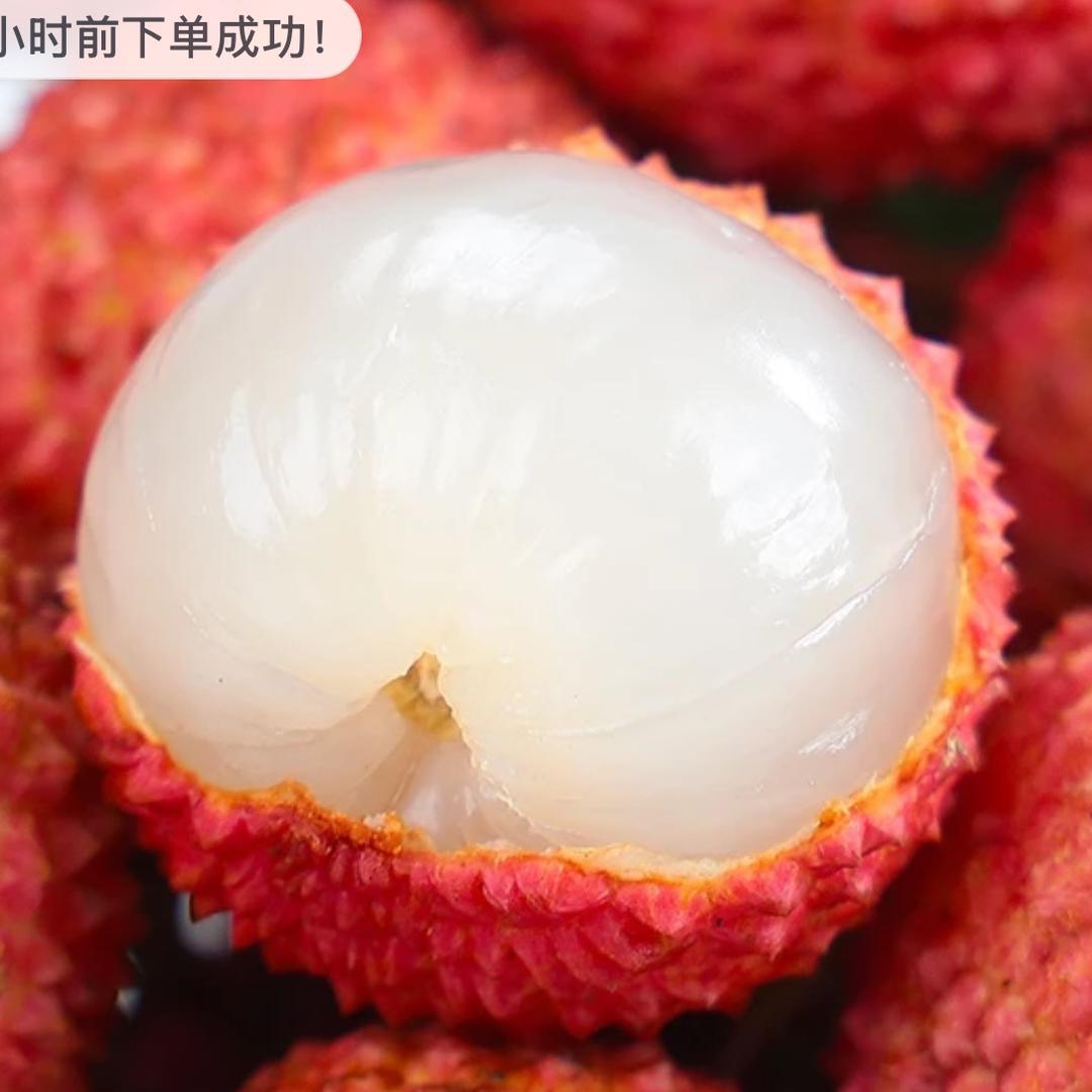 雪儿（86）