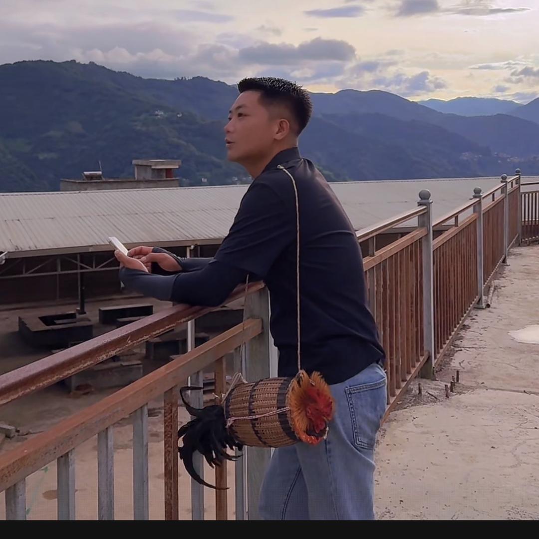 这很海槟