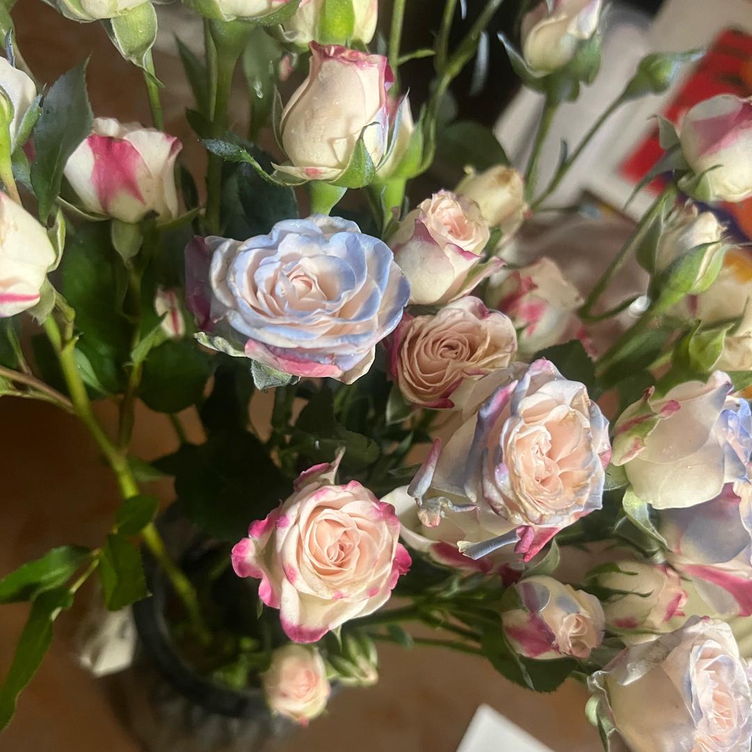 好运常在🍀财神到来🤩