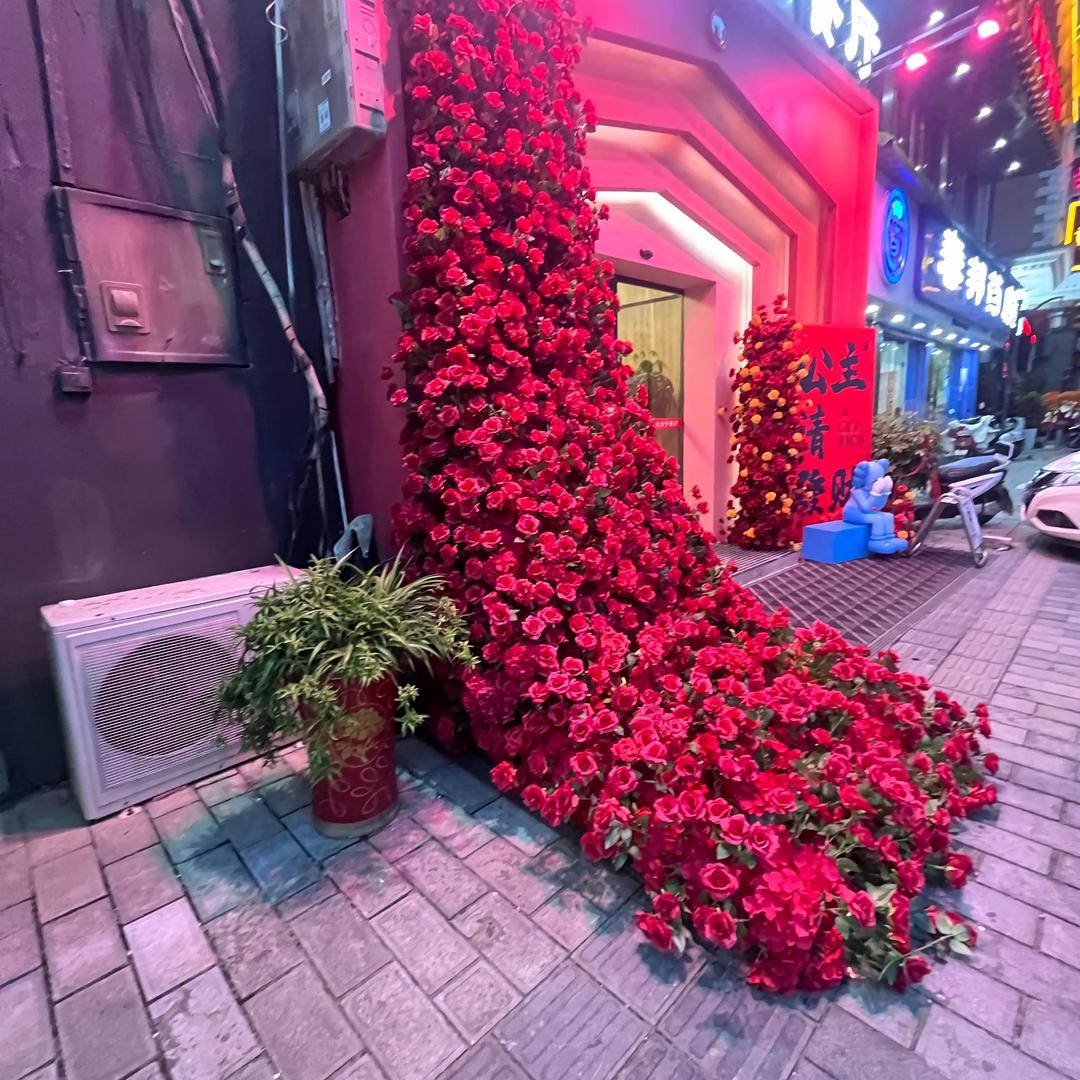 小鱼儿