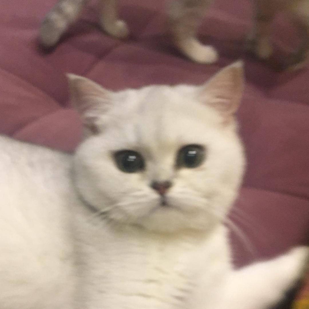 淡季