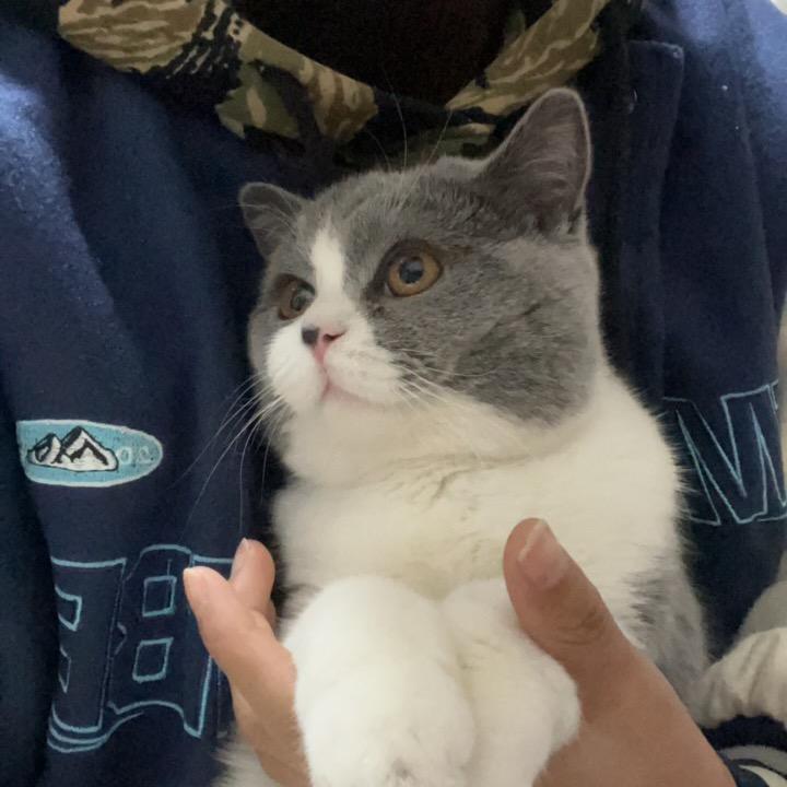 ʚ 柒宝 ɞ