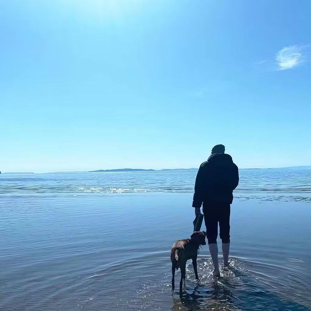 长春海涛名车🚗