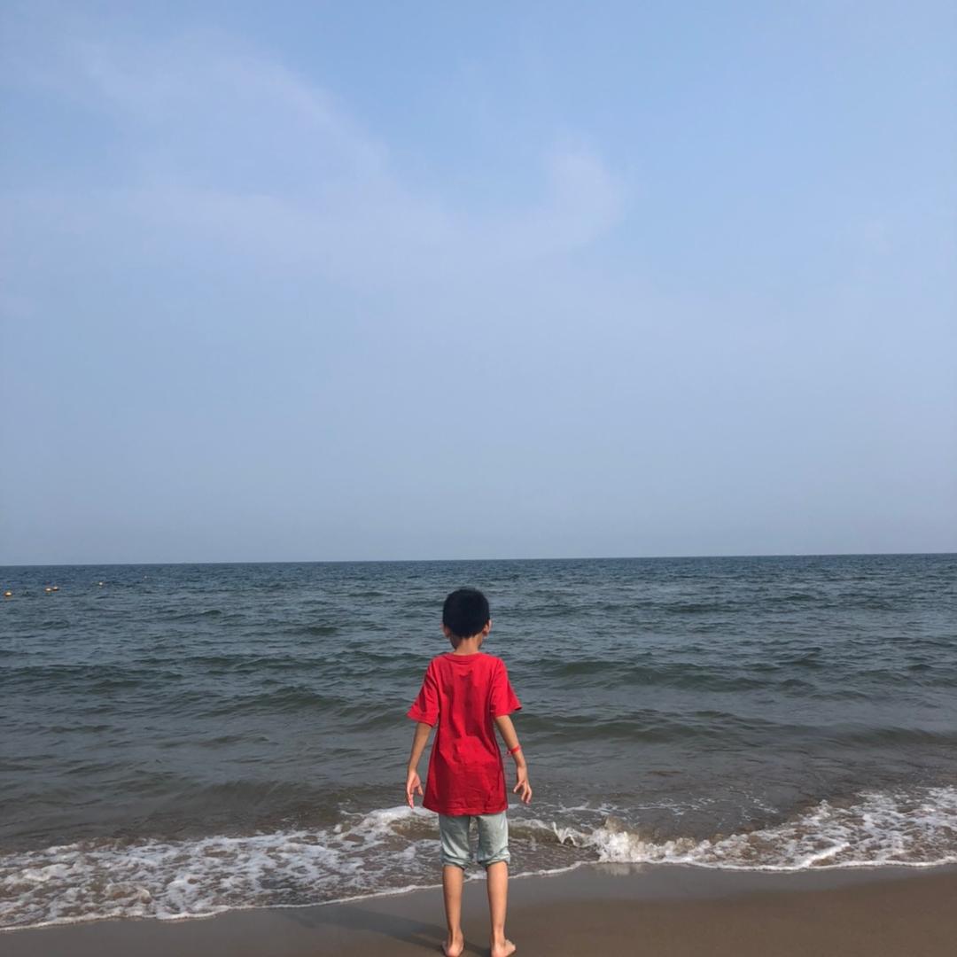 飞敏物流