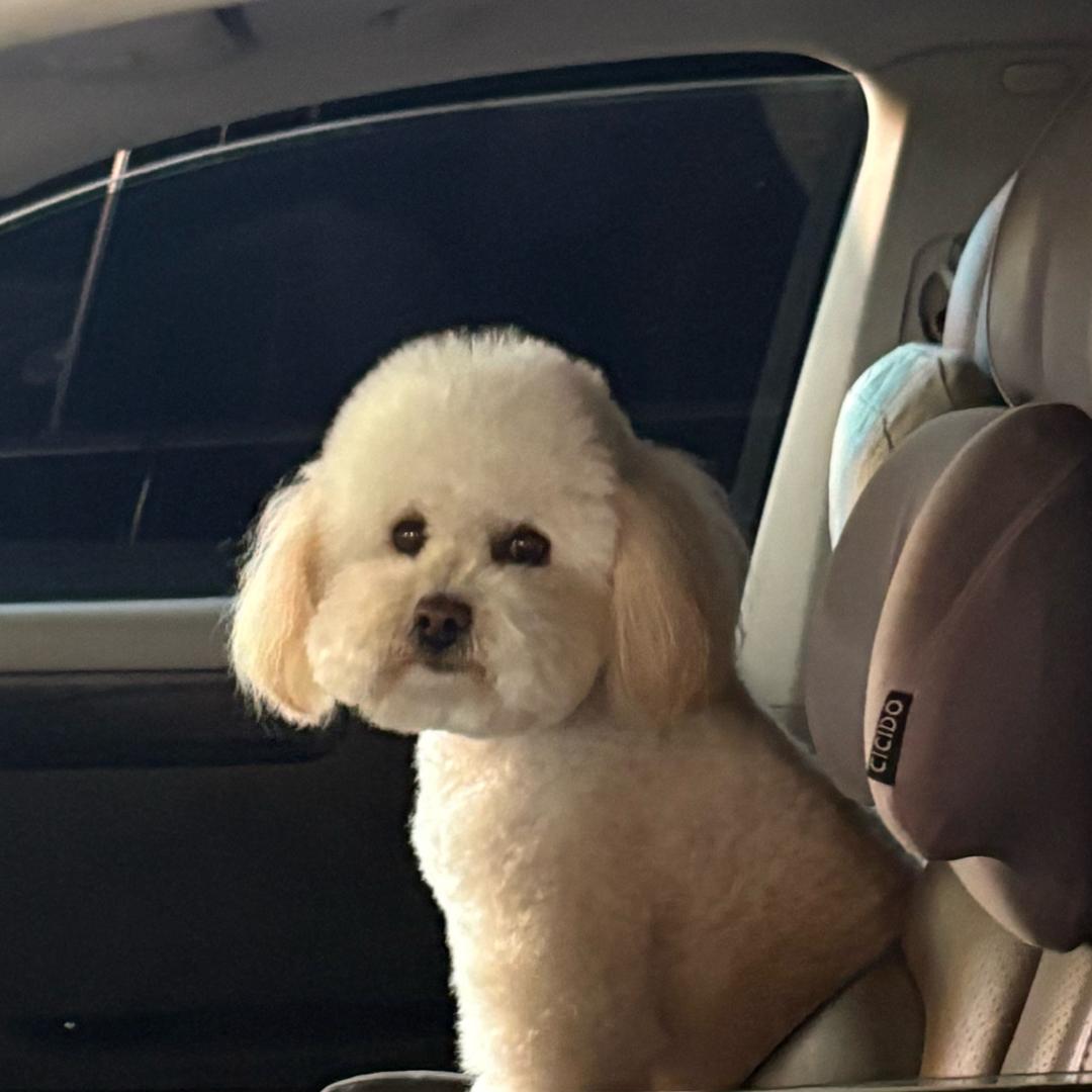 游子梦