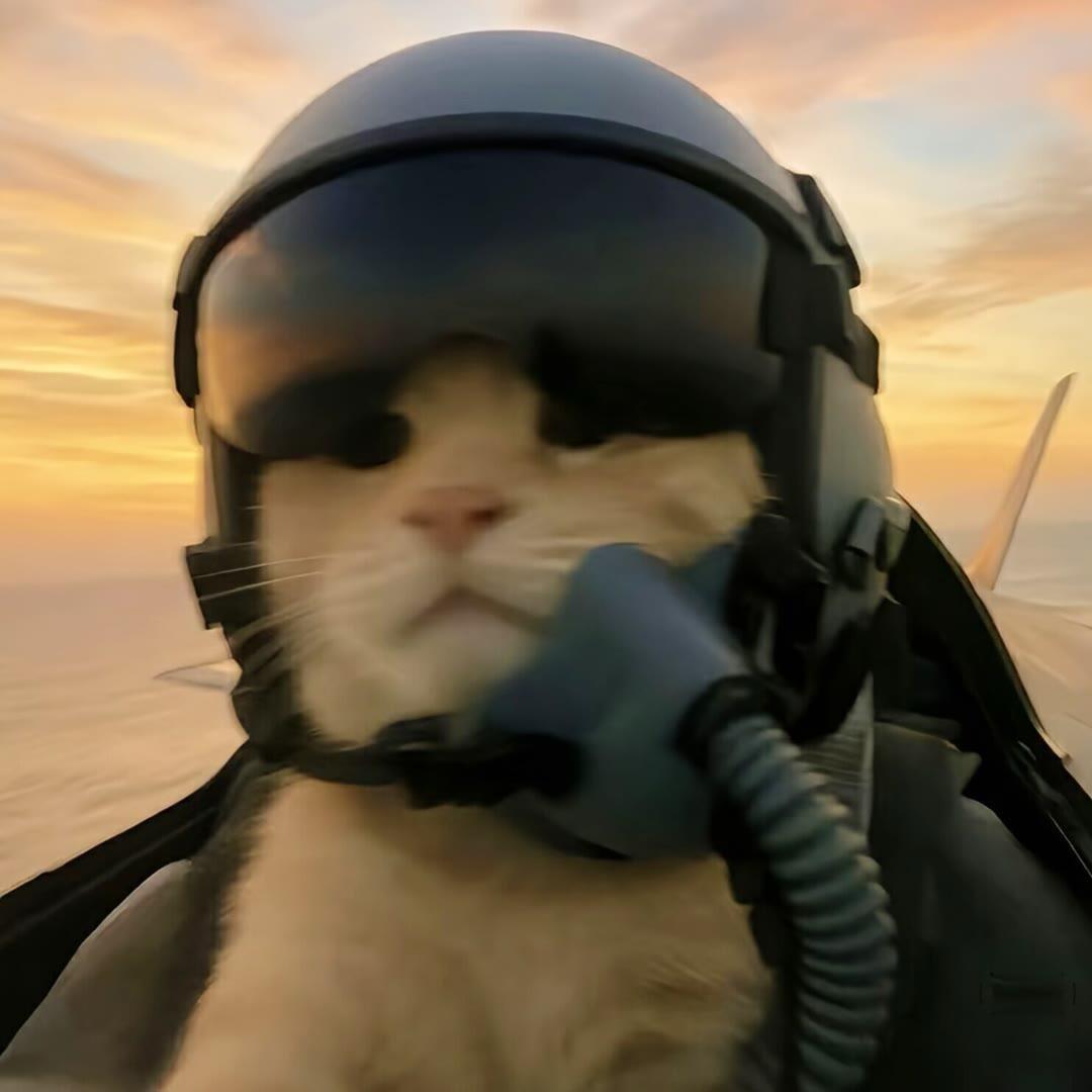 忘远镜🌈（三角洲行动）