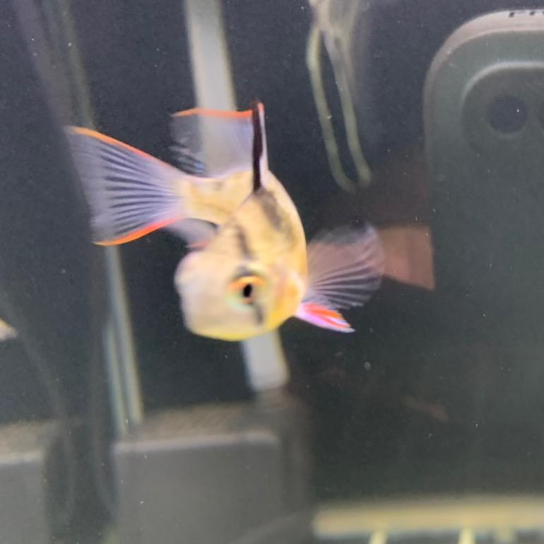 =͟͟͞͞天=͟͟͞͞梯=͟͟͞͞