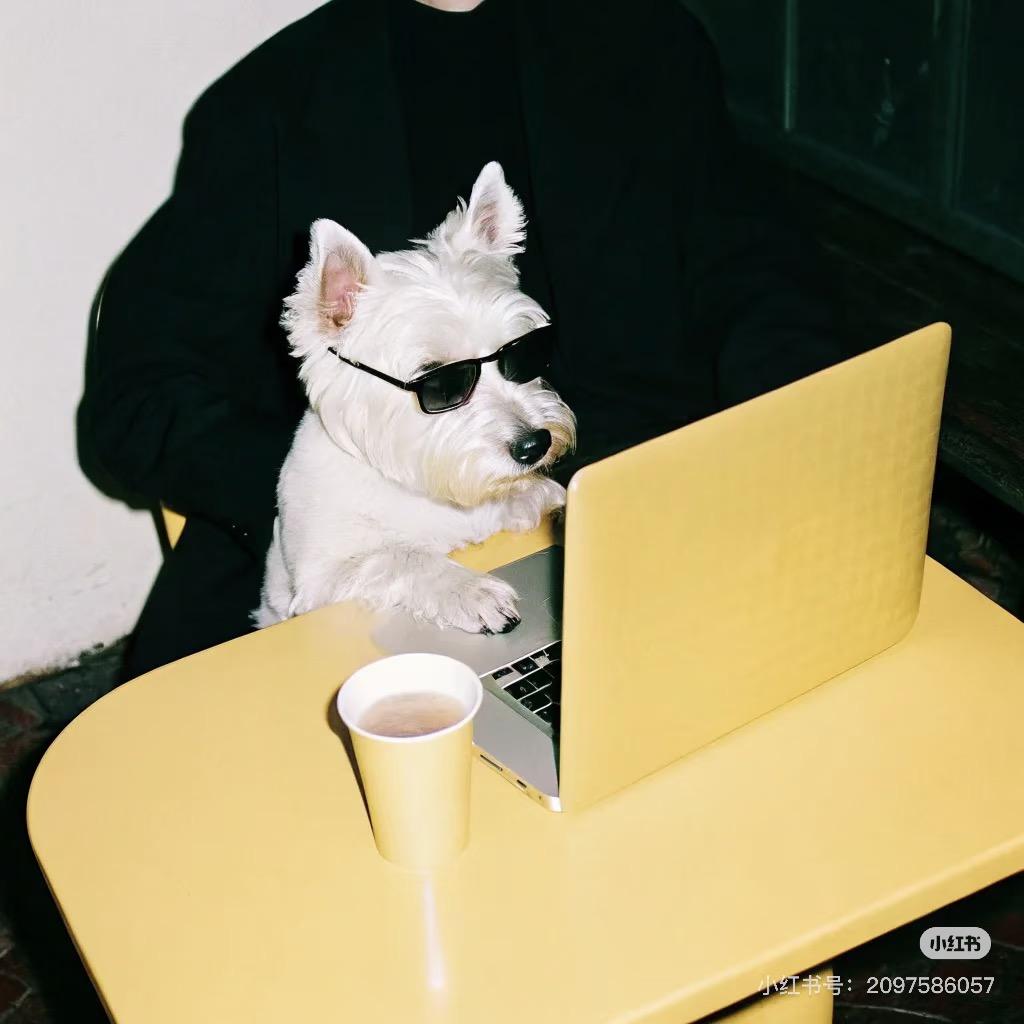 会穿的小虾米（穿搭版）