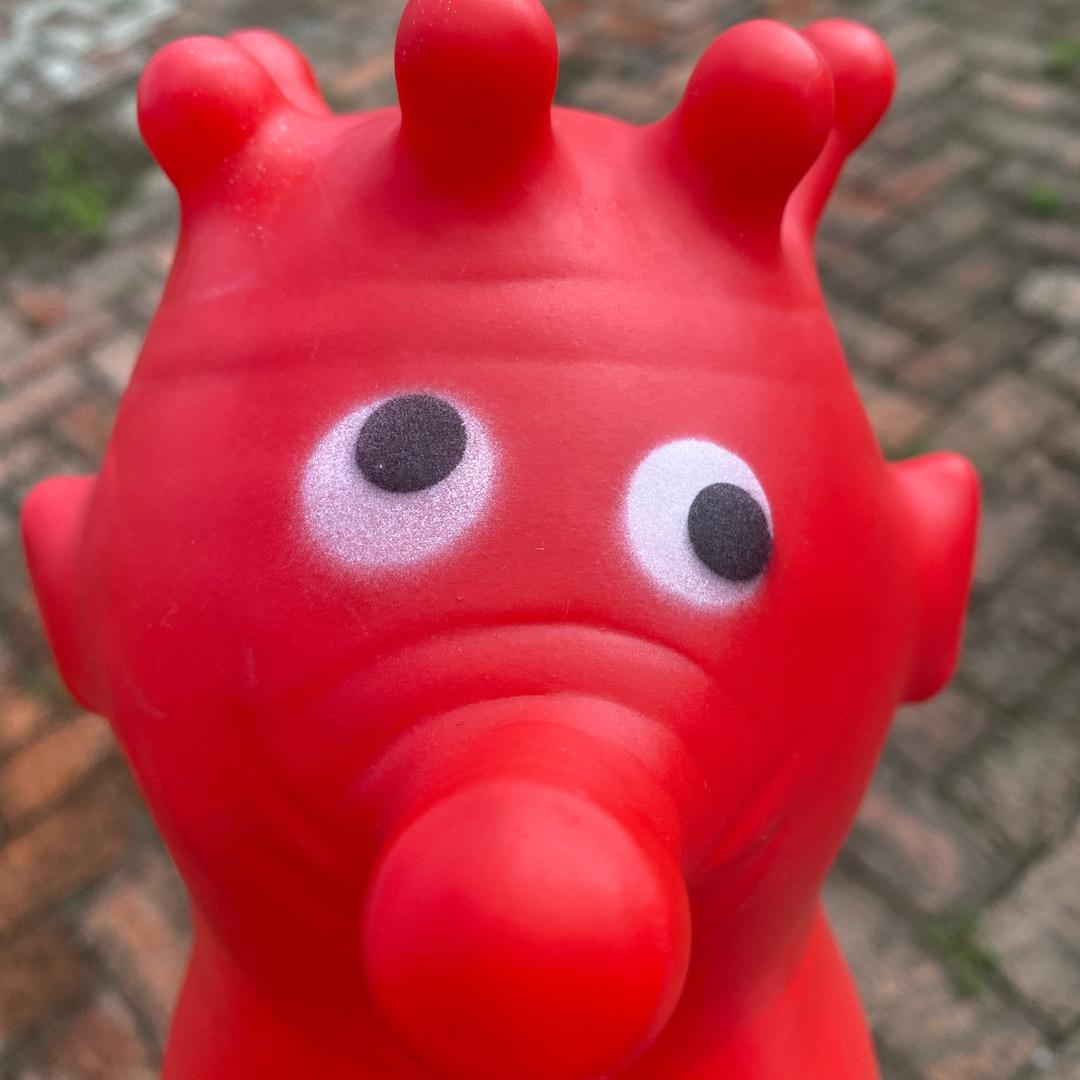 小墨🐯（墨墨）