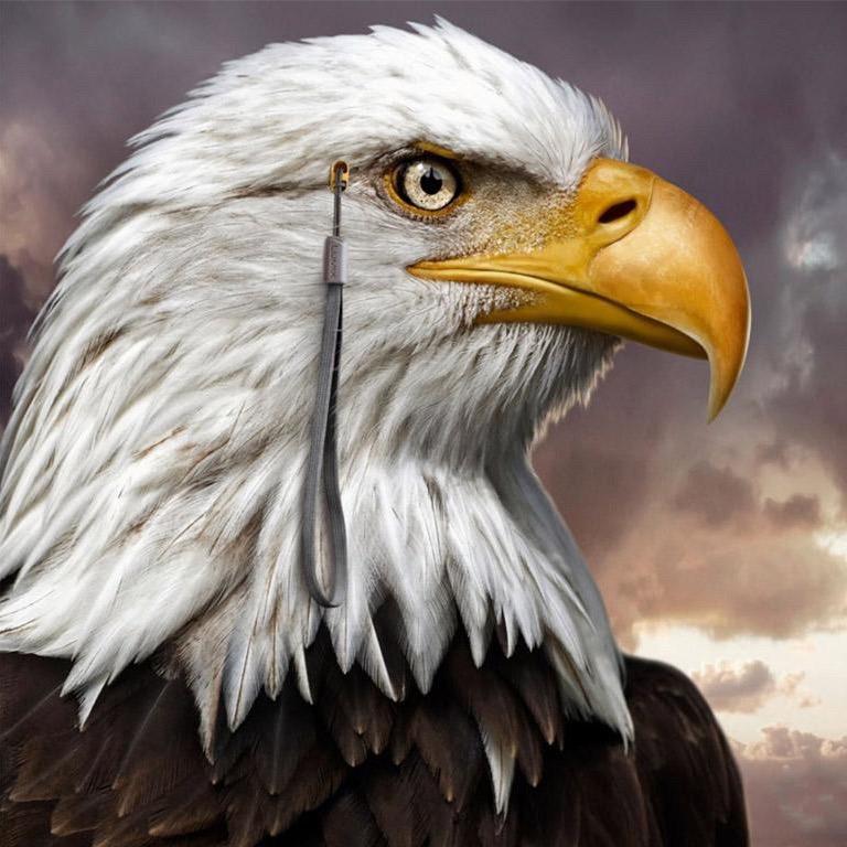 小亮——走天涯🦅