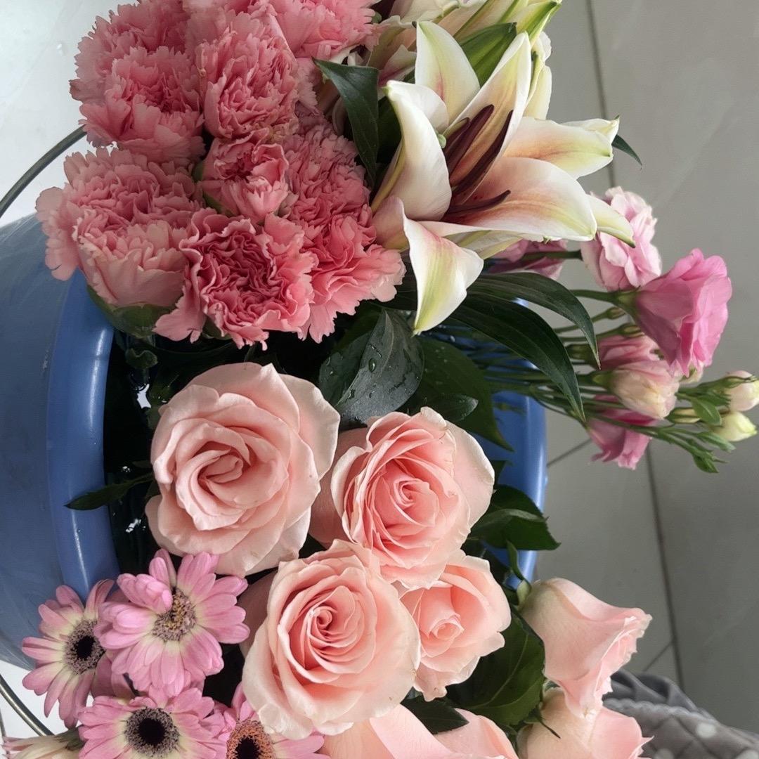 小青柠🍋‍🟩