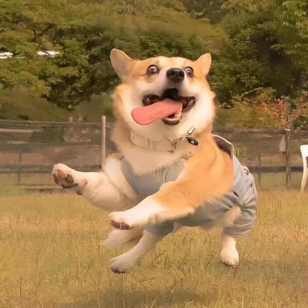 MT&柒亿