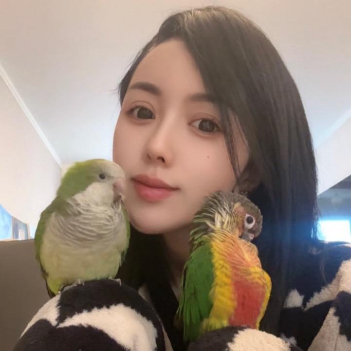 双鱼宝