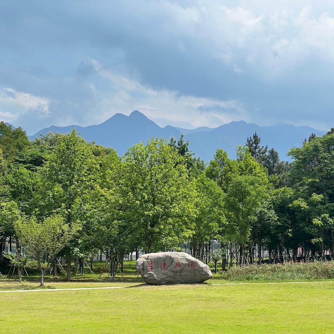 布鲁克斯·陆佰