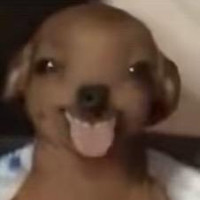 永劫无间萌新求佬带