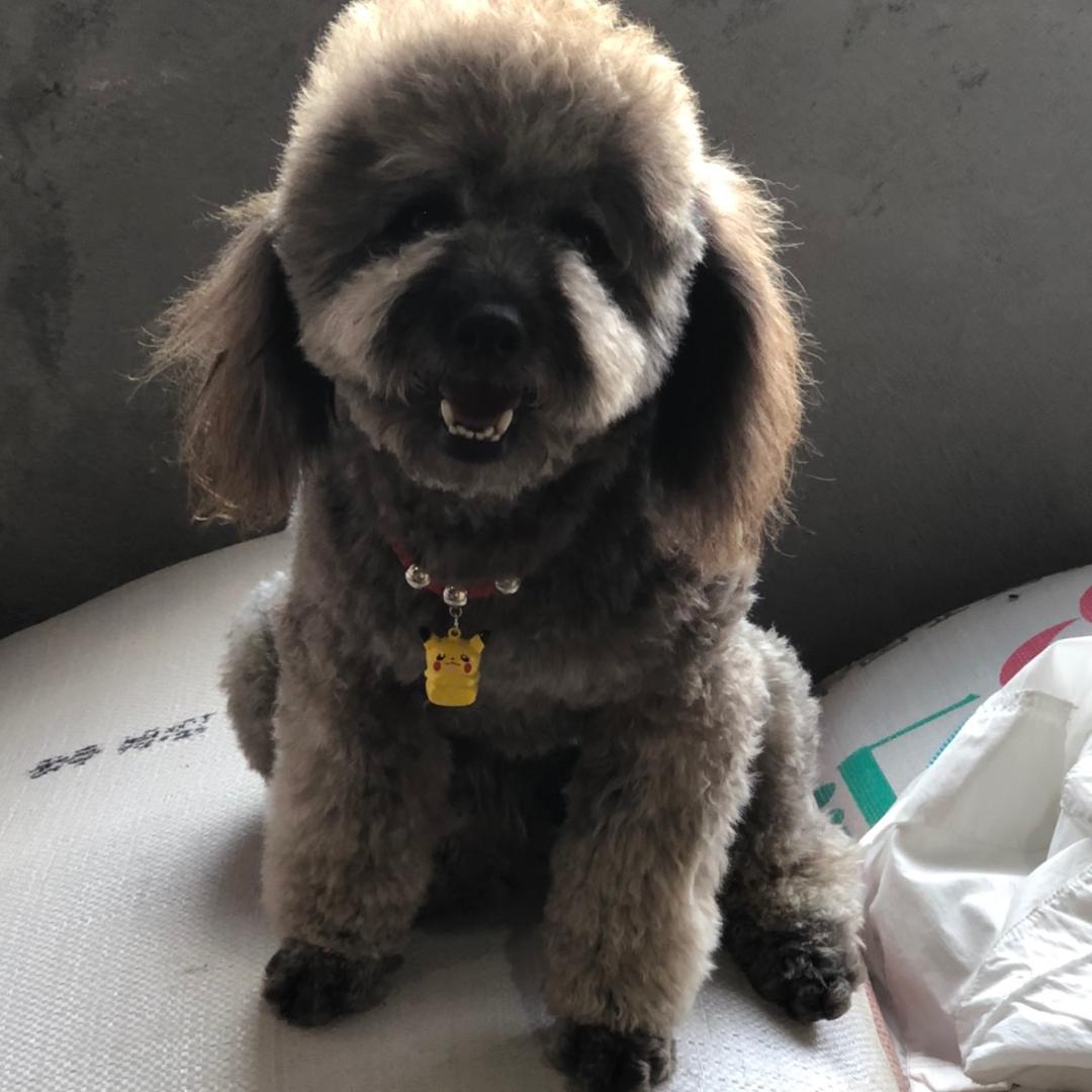 心是自己的镜子《拒私聊》